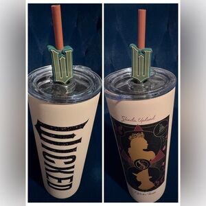 Dragon Glassware x WICKED Insulated Tumbler 2 sided w Lid & Straw 24 oz NWT